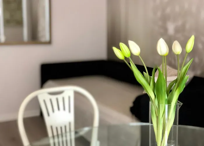 Luxory * 벨레지아아지마리나